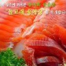 돌고래오토캠핑장 이미지