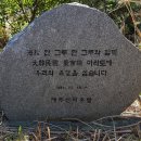 해송 이미지