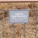 남산공원길1 이미지