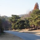 청계목장 이미지