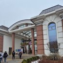 신기한 동식물여행 2 | 겨울 가볼만한곳: 가평 베고니아새정원 (+ 가평쭈꾸미, 델씨엘로 본점, 아토키즈풀빌라)