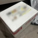 막창, 집에서 굽는 막창 추천 &lt;같이구울까 납작막창&gt; :: 내돈내산 추가 구입, 솔직후기, 잡내없는 대구막창