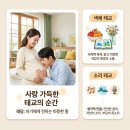 [옥정]음악가이드가 들려주는 클래식 음악이야기 | 태교 종류와 방법｜컬러 태교 vs 소리 태교, 시기별 감각 발달 가이드