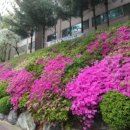 삼환아파트경로당 이미지