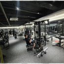 피트니스 엘 | 둔산동헬스장 도심 뷰와 함께 운동의 즐거움, 피트니스엘 경험 후기