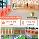 댕구르강아지유치원 이미지