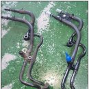 라인카센타 이미지