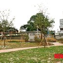 단군전 이미지