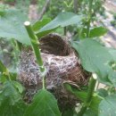 대잠초등학교 이미지