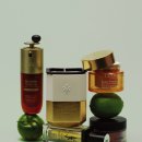 스킨N스칼프 이미지