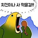 말하는앵무새