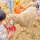 호텔 레이크 | 2022. 9. 5주 차. 쿼카의 1박 2일 '안성 &amp; 평택' 여행