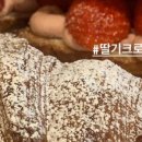컨스턴트
