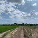 노지태양광발전소 이미지