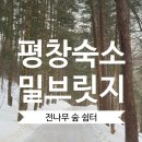 척천리경로당 | 평창 밀브릿지 숙소 가족여행 추천 전나무 숲 쉼터 예약 가격 객실