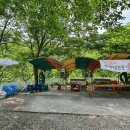 서지농원 이미지