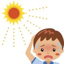 하이펙 주식회사 이미지