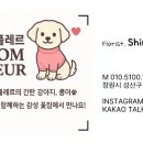 사파동100 이미지