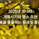 개화 - 동대문구 답십리로65길 69 | 개화