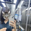 유니크 바이 합정점