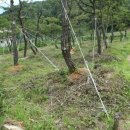 행복이발 이미지