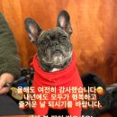 암마메이드 이미지