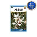 다농 이미지