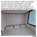 안산 이사짐센터 영구크린 165호점 내돈내산 후기