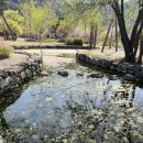 스테이울진 이미지