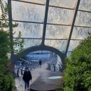 우면산 (대성사 옆) 이미지