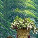 모먼트(MOMENT) 이미지