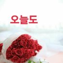 노가니 이미지