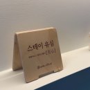 스테이유심