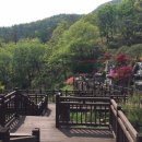 양평쉬자파크 이미지