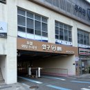 강릉충전소 | 강릉 테슬라 슈퍼차저 충전소 세인트존스호텔 후기