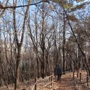 우장산둘레길 이미지