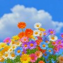 6월 12일 목요일 간추린 뉴스와 날씨 이미지