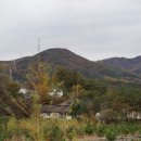 공근초 광덕분교장 Daum카페