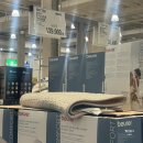 (주)세일 | 코스트코 공세점 12월 첫째주 방문 후기 세일품목 크리스마스 시즌