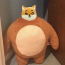 케이손 이미지