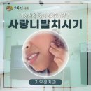 가우정치과의원 이미지