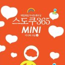 매일365
