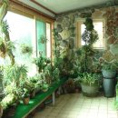 애너벨리 이미지