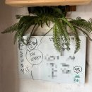 낯선하루 | 제주 성산게하 : 포틀럭파티, 낯선하루게스트하우스 후기