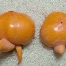 나랑엄마랑아빠랑 이미지