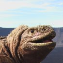 창선119안전센터 이미지