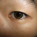 티탑콘텍트 이미지