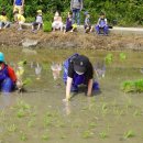 군동초등학교 이미지