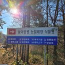 장수유일농원 네이버블로그