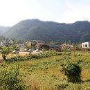 순천-74호 이미지